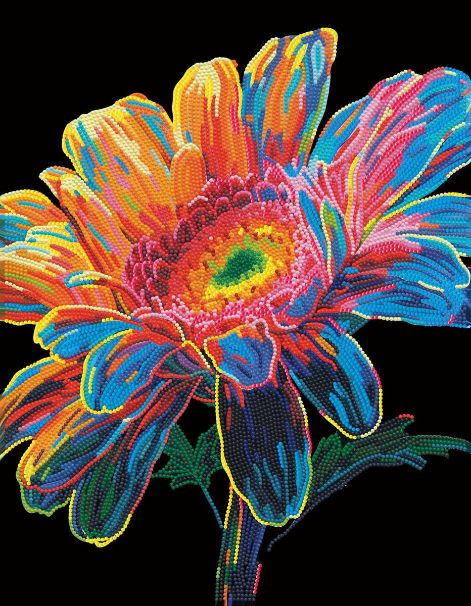 Colorful embroidered flower design on a black background