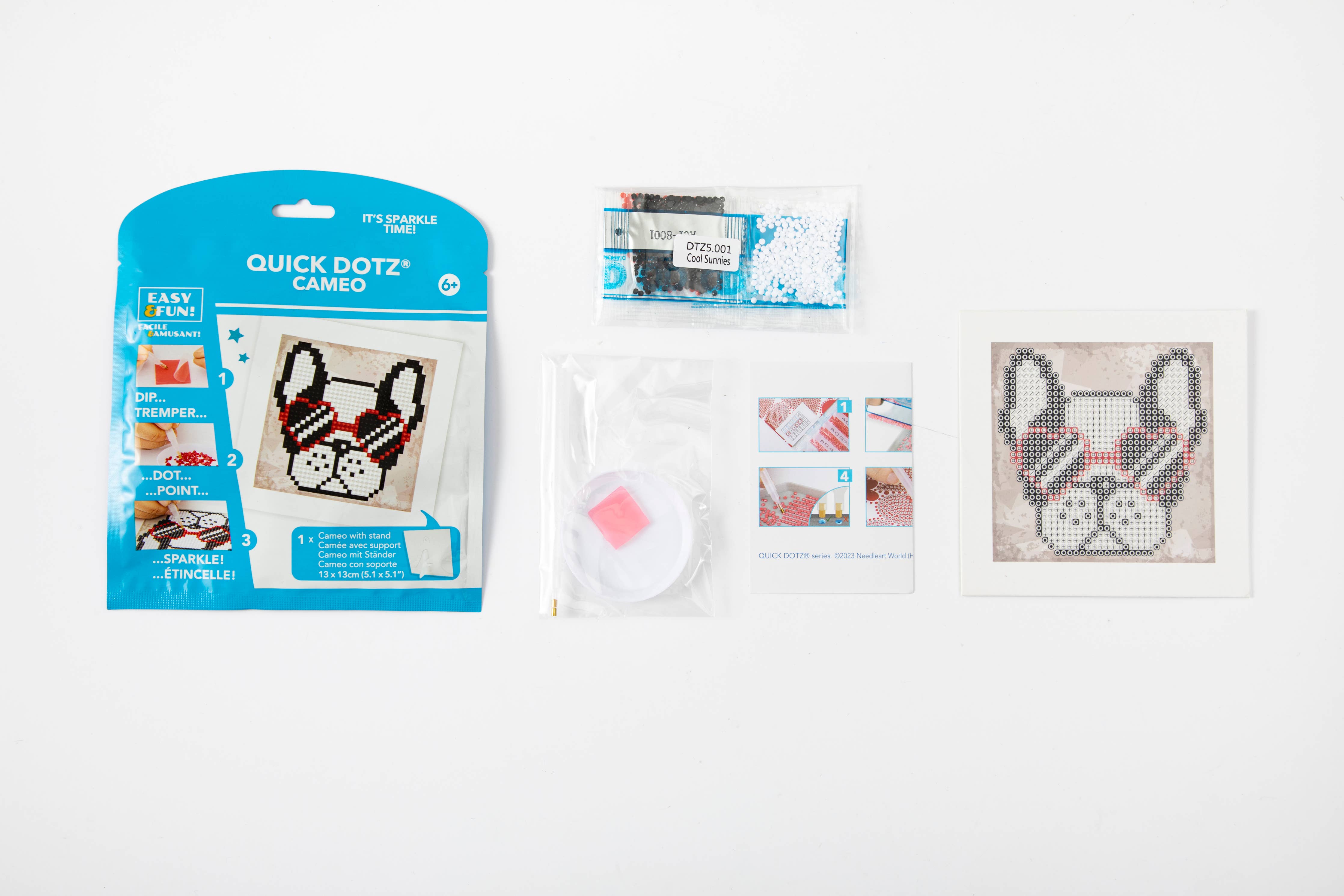 Quick Dotz Cameo kit with packaging and cross-stitch design on a white background