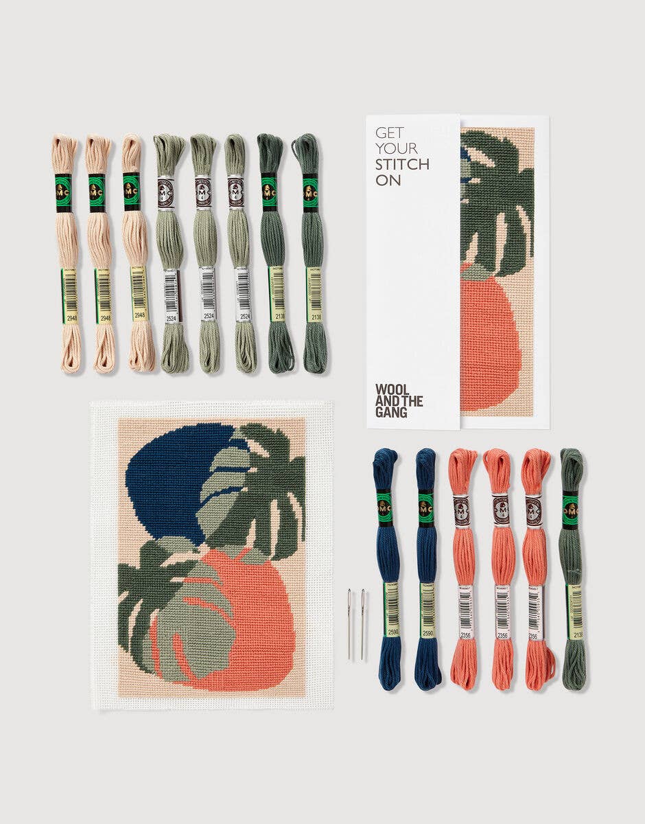 Set of embroidery threads and pattern cards on a white background