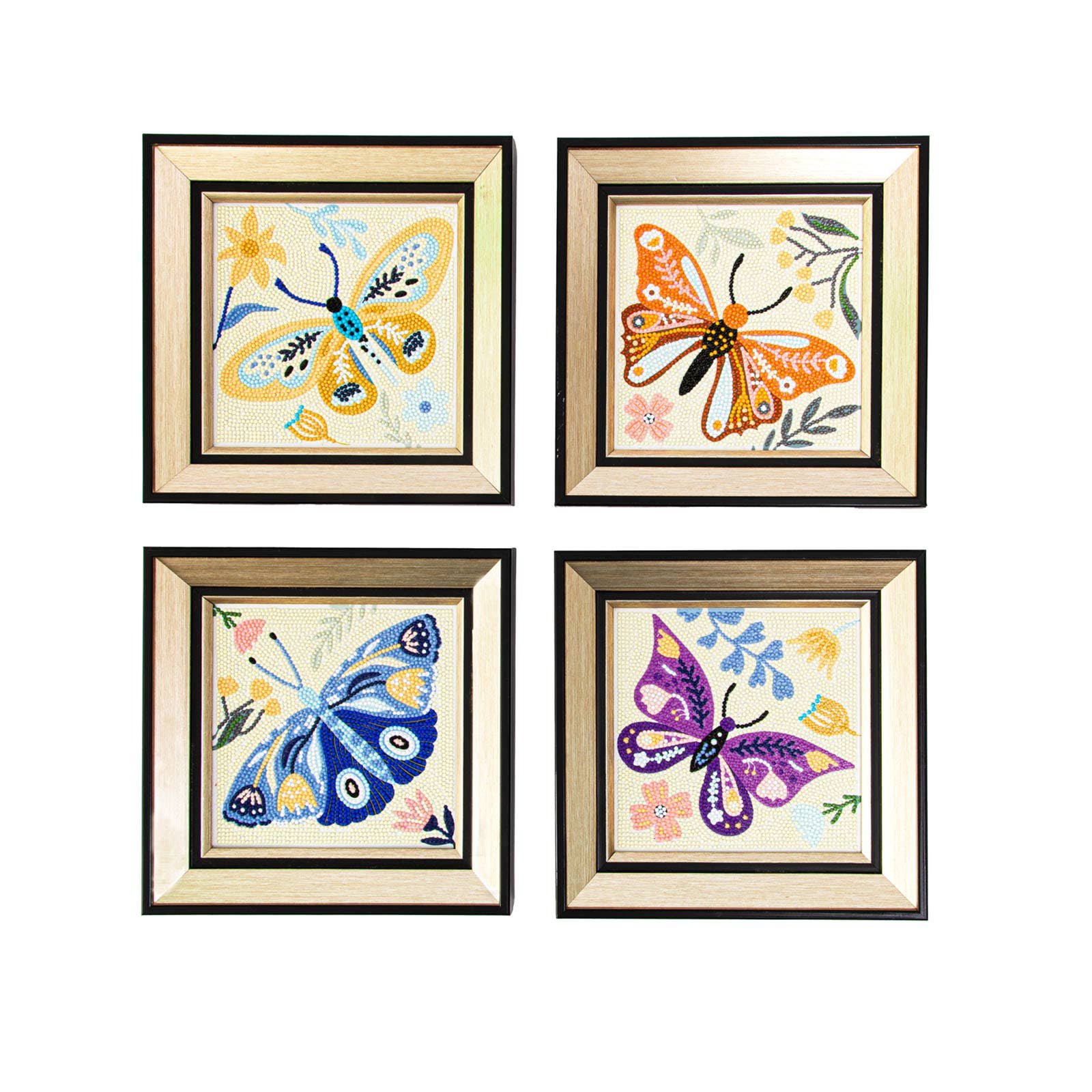 Four framed illustrations of butterflies on a white background