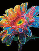 Colorful embroidered flower design on a black background