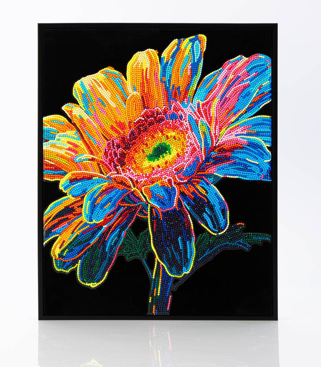 Colorful flower design on a black background