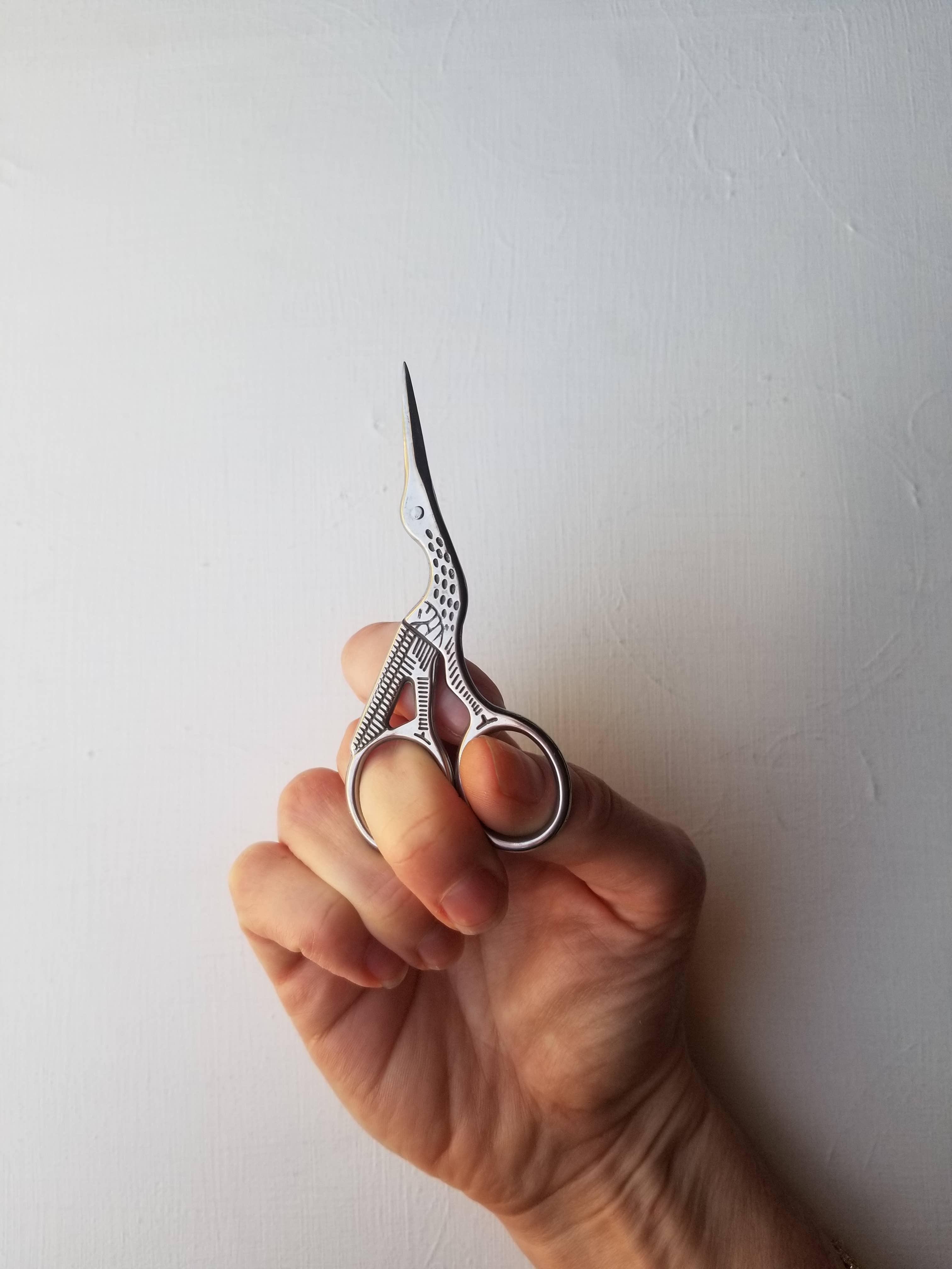 Hand holding a pair of ornate silver scissors against a plain background