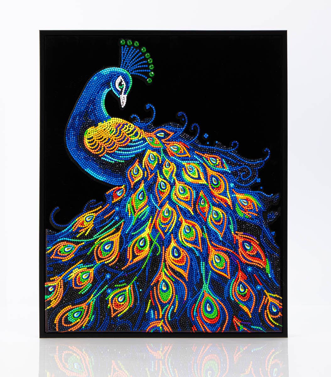 Colorful peacock design on a black background