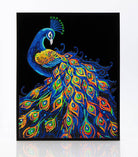Colorful peacock design on a black background