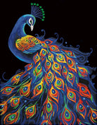 Colorful peacock design on a black background