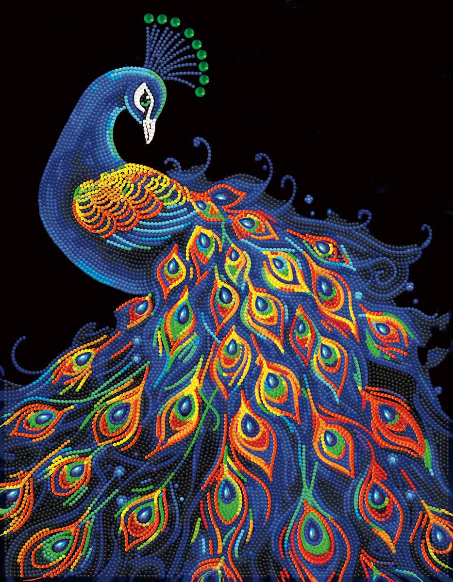 Colorful peacock design on a black background