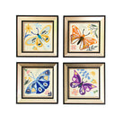 Four framed illustrations of butterflies on a white background